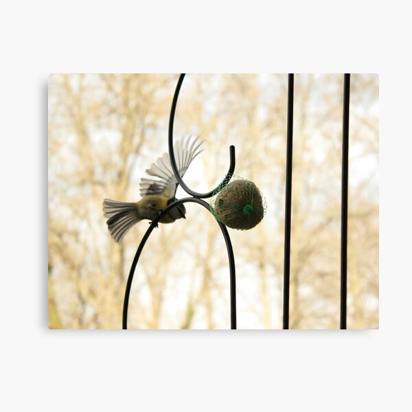 Tit Canvas Print
