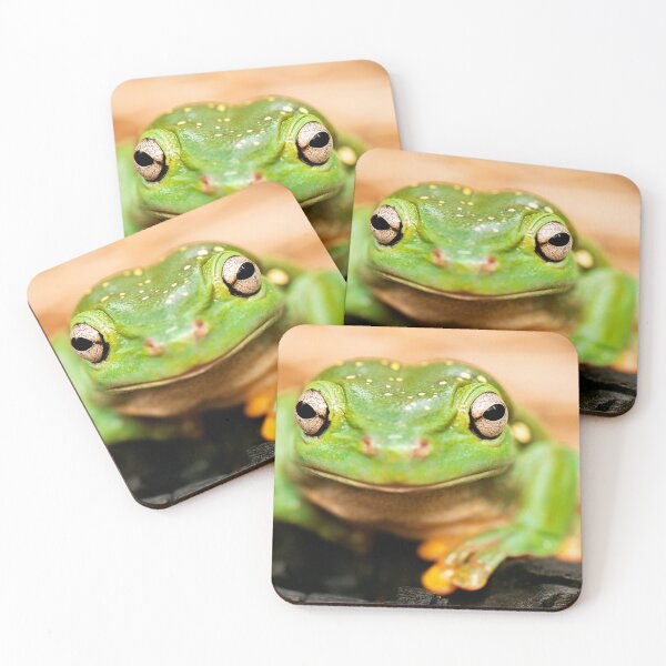 Item preview, Magnificent Tree Frog designed and sold by robdanimalphotography.