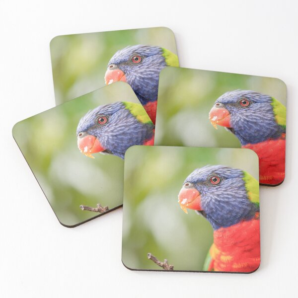 Item preview, Rainbow Lorikeet designed and sold by robdwildlife.
