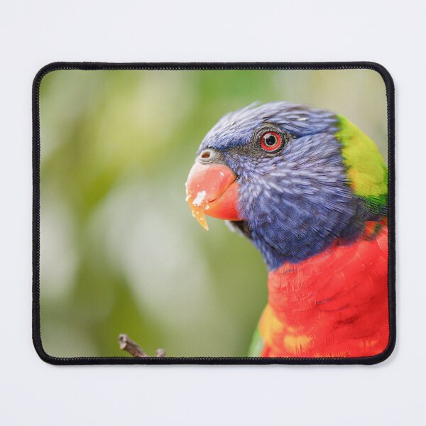 Item preview, Rainbow Lorikeet designed and sold by robdanimalphotography.
