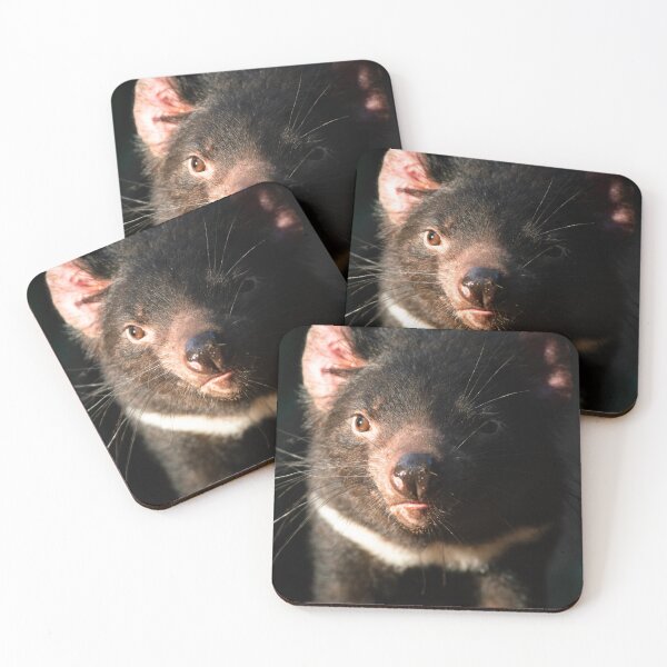 Item preview, Australian Tasmanian Devil designed and sold by robdwildlife.