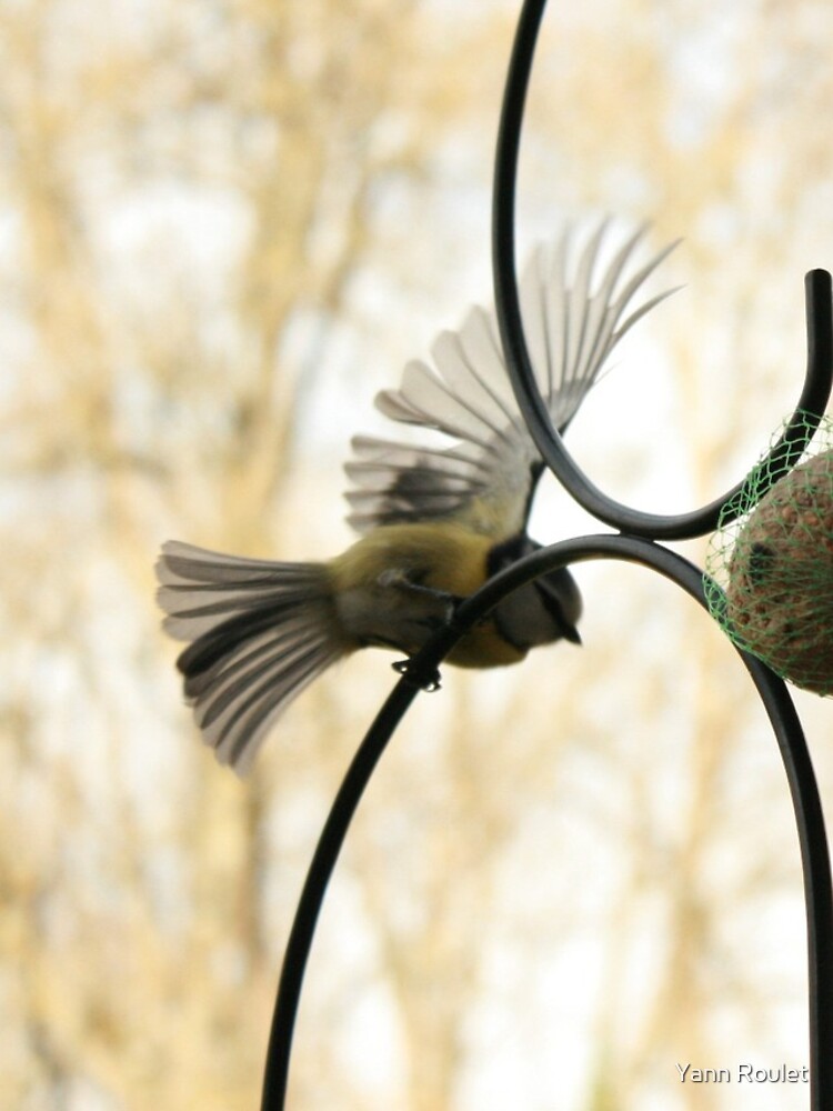 Tit by fan2zik
