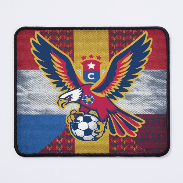 Item preview, Paraguay at the Copa America designed and sold by Midnight Veil Designs.