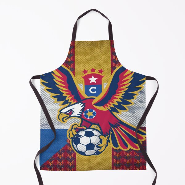 Artikelvorschau, Paraguay bei der Copa America entworfen und verkauft von Midnight Veil Designs.