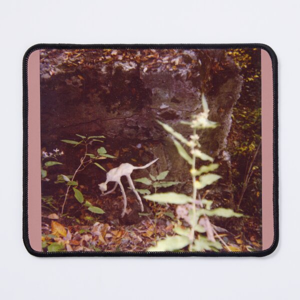 Item preview, Unknown tapedog creature in the woods hunting snails.  designed and sold by Jason Franklin.