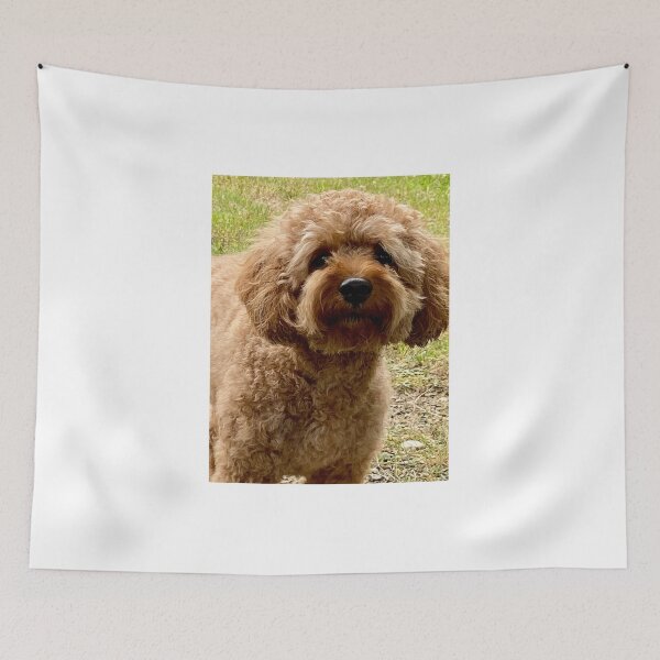 Item preview, Jared  designed and sold by BOBBYBABE.