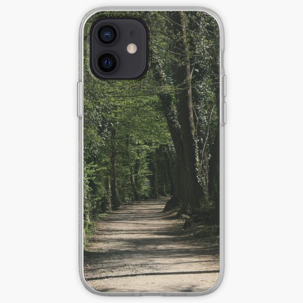 The path iPhone Soft Case
