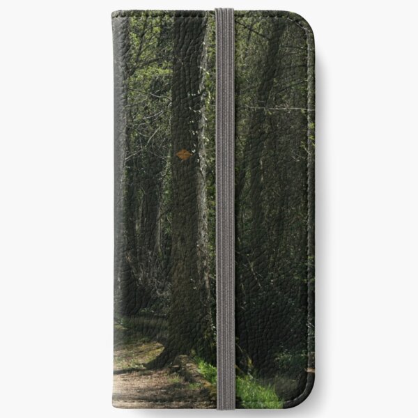 The path iPhone Wallet