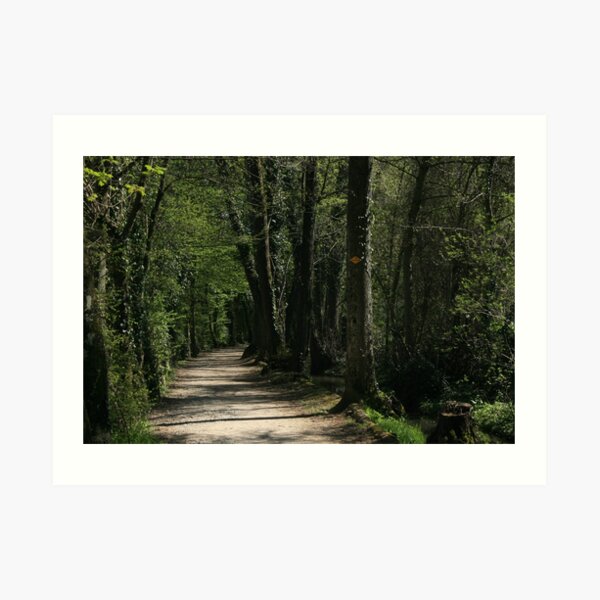 The path Art Print