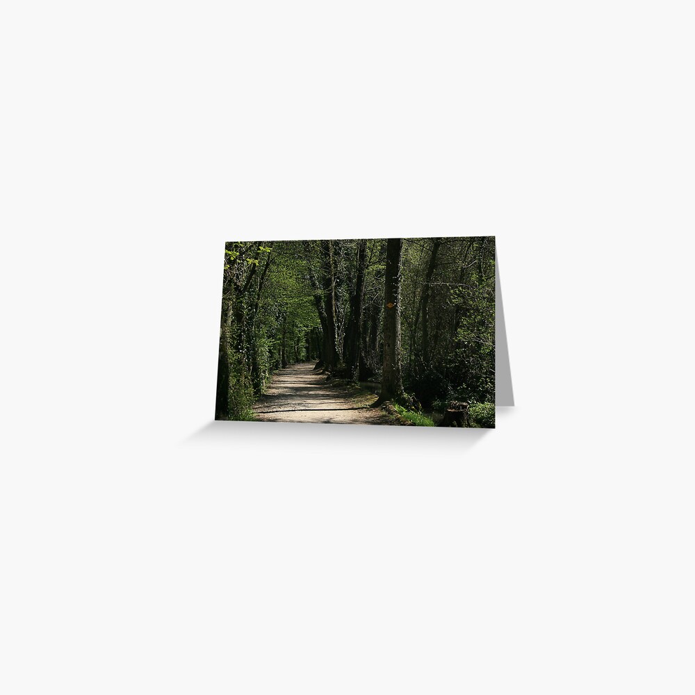 The path Greeting Card
