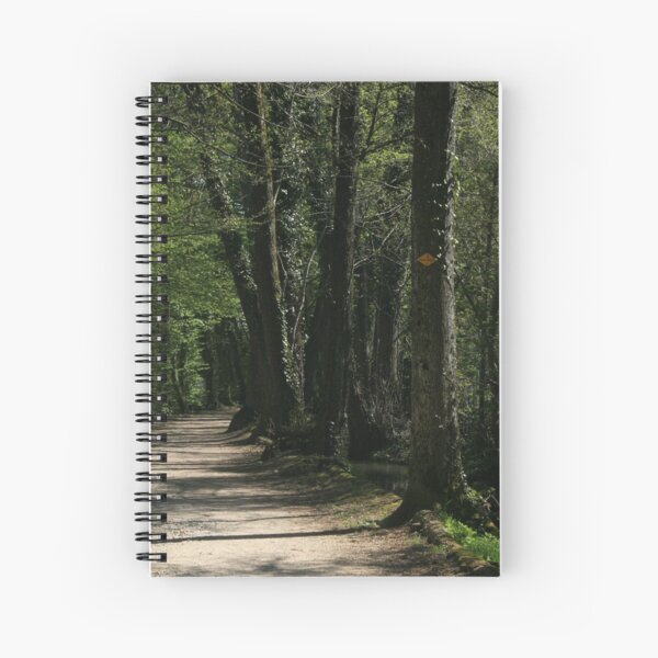 The path Spiral Notebook