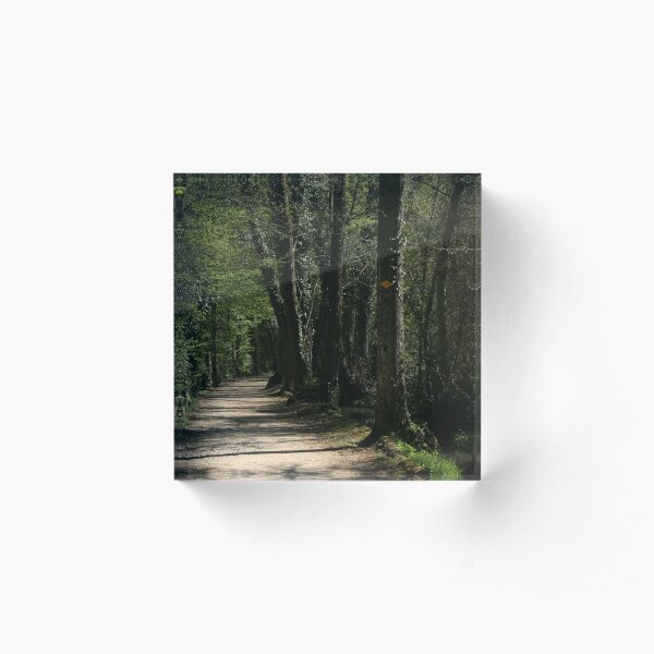 The path Acrylic Block