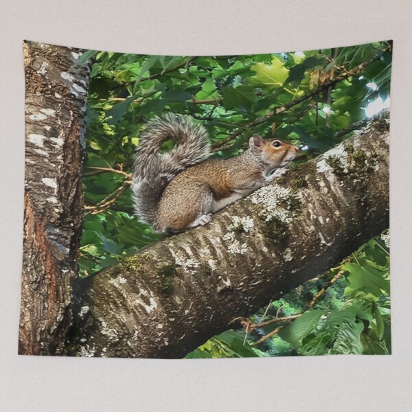 Item preview, Squirrel Up a Tree designed and sold by Walter Rice.