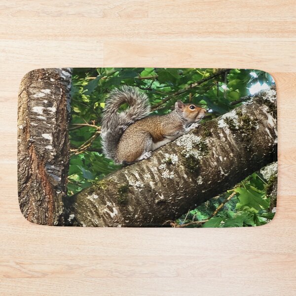Item preview, Squirrel Up a Tree designed and sold by Walter Rice.