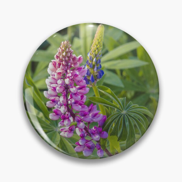 Item preview, Litha Lupins 3 designed and sold by Arielle S.