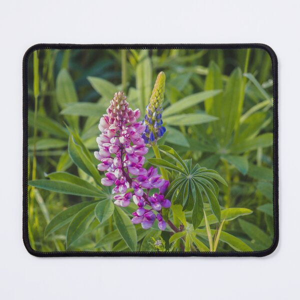 Item preview, Litha Lupins 3 designed and sold by Arielle S.
