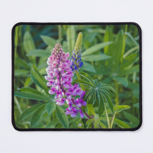 Item preview, Litha Lupins 3 designed and sold by Arielle S.