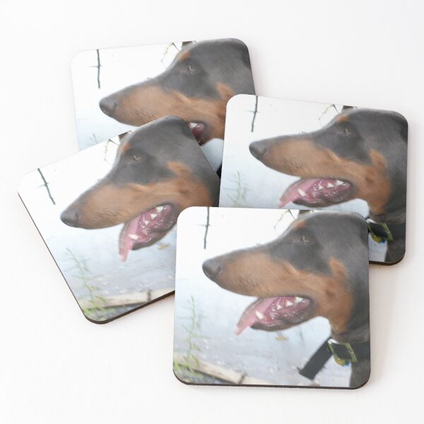Item preview, Ceasar , best  Dobermann  designed and sold by corichard.