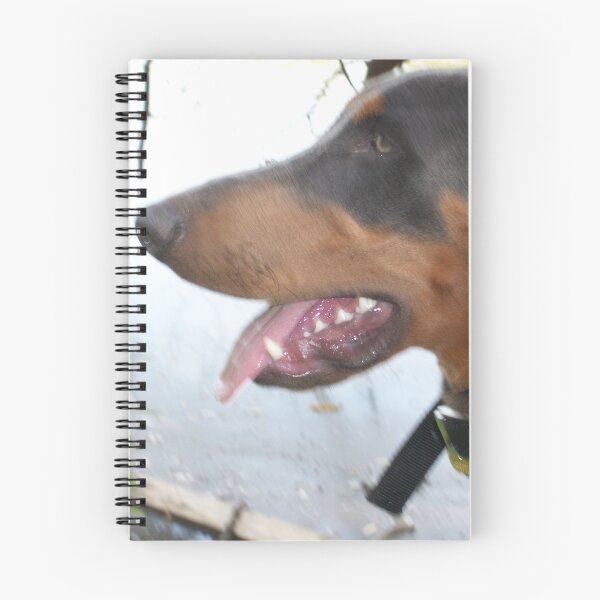 Item preview, Ceasar , best  Dobermann  designed and sold by corichard.