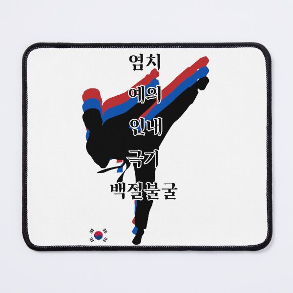 Item preview, Five Tenants of Tae Kwon Do 태권도 - Side Kick (Male) designed and sold by SeoulJourner.