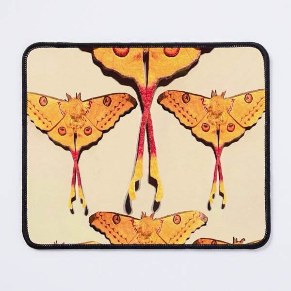 Item preview, Silk embroidery moth sculpture  designed and sold by ricoflinn.