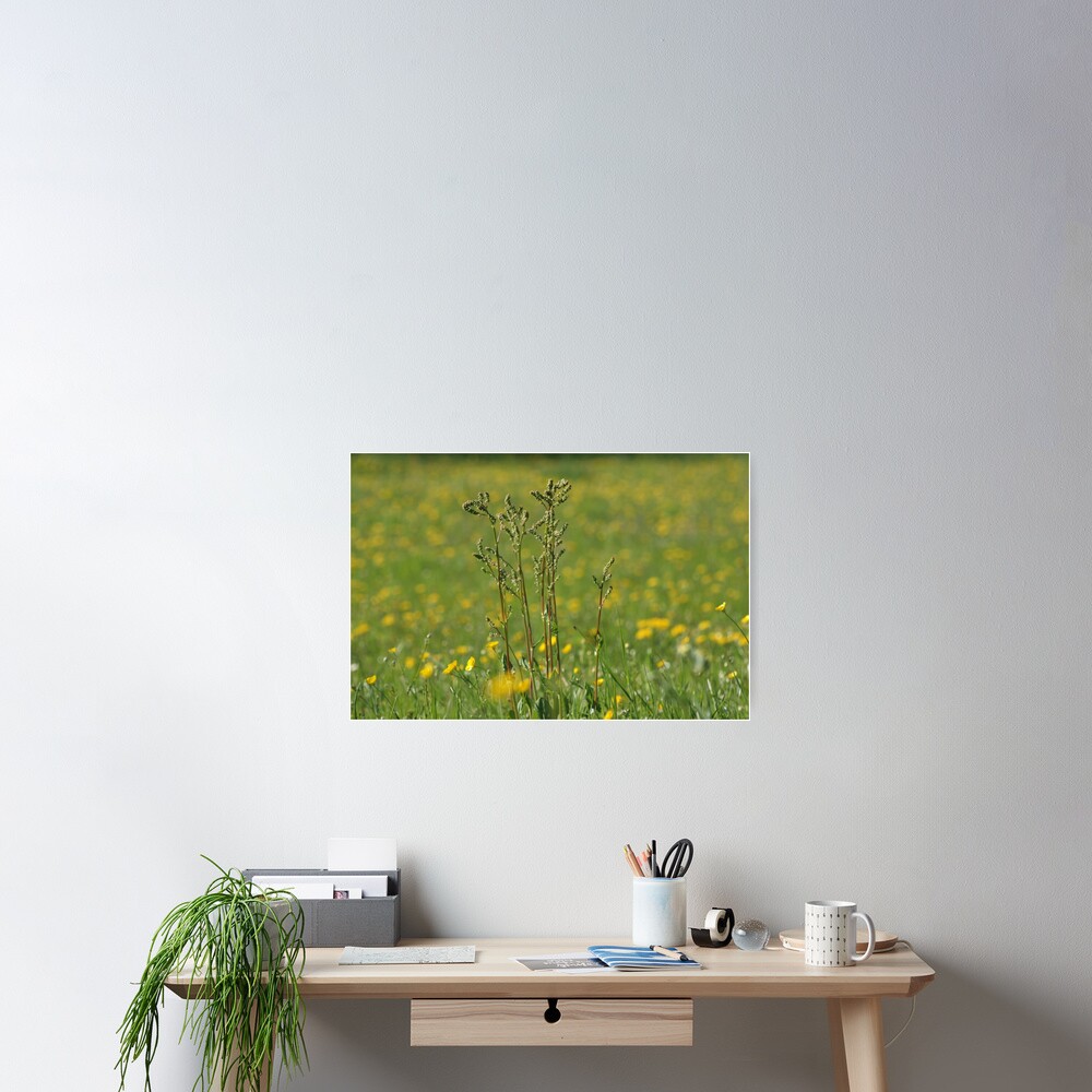 Item preview, Poster designed and sold by fan2zik.