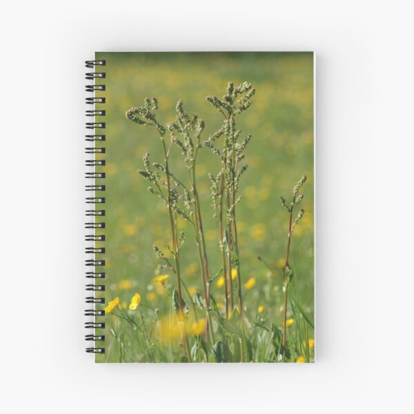 Explosion Spiral Notebook