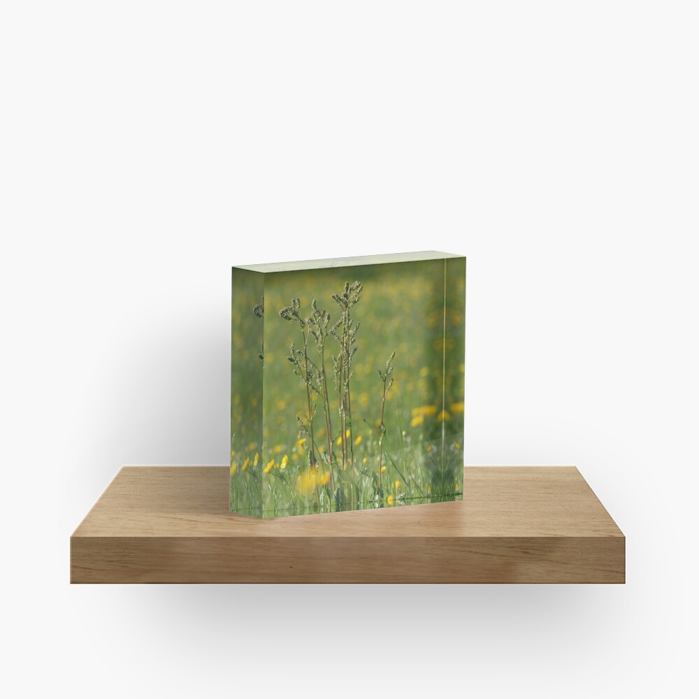 Item preview, Acrylic Block designed and sold by fan2zik.