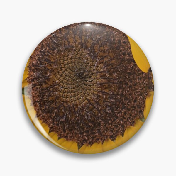 Artikelvorschau, Sommer der Sonnenblume entworfen und verkauft von Angi Baker.