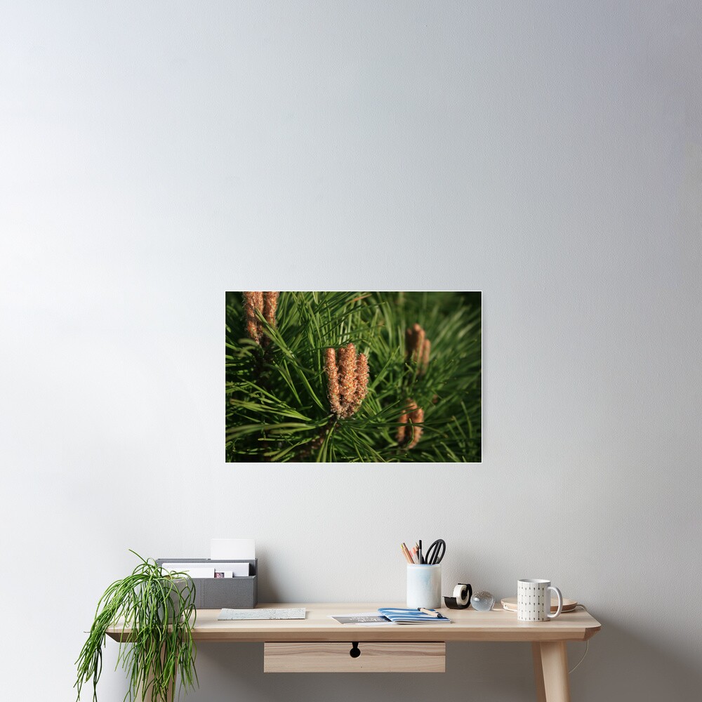 Item preview, Poster designed and sold by fan2zik.