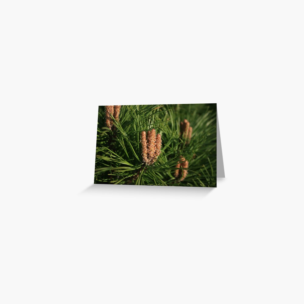 Item preview, Greeting Card designed and sold by fan2zik.
