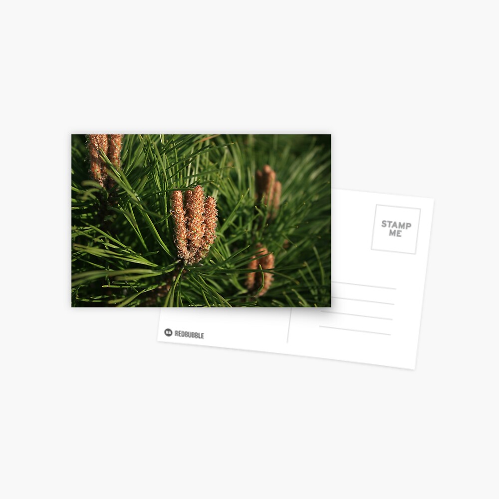 Item preview, Postcard designed and sold by fan2zik.