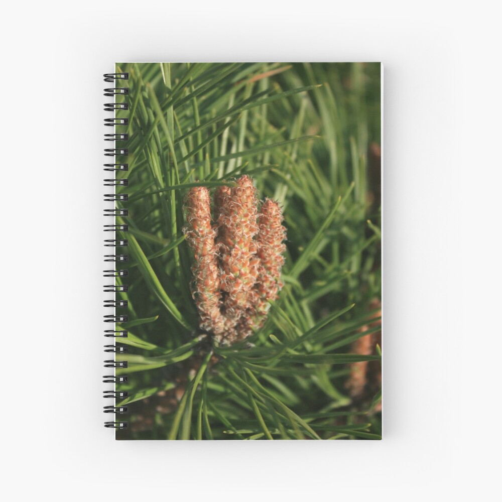 Item preview, Spiral Notebook designed and sold by fan2zik.