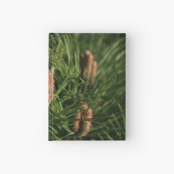 Pine Hardcover Journal