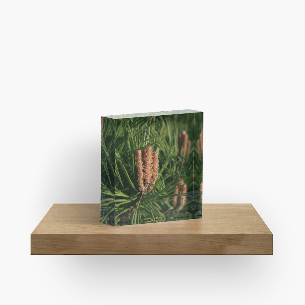 Item preview, Acrylic Block designed and sold by fan2zik.