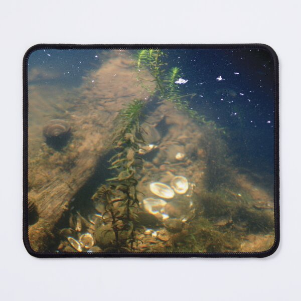 Item preview, #005 - Underwater Snails designed and sold by lewiswhatsisnme.