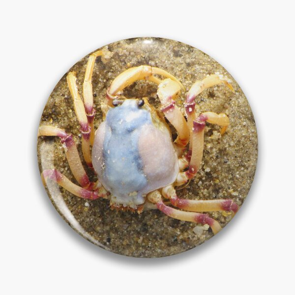 Item preview, Crab designed and sold by FancifulsBySue.
