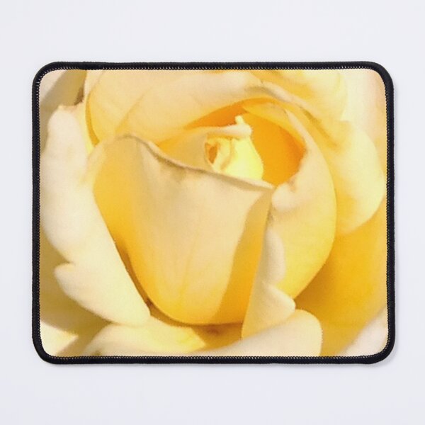 Item preview, Macro White Tea Rose Photography / Large White Rose Photography designed and sold by Victoria Rose.