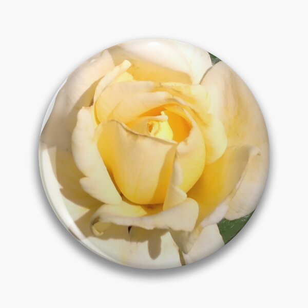 Item preview, Macro White Tea Rose Photography / Large White Rose Photography designed and sold by Victoria Rose.
