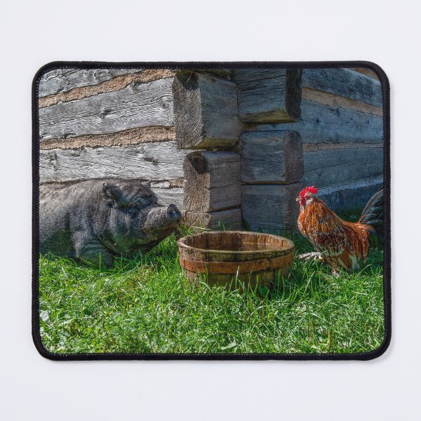 Item preview, Pig and Chicken Eat Lunch Together designed and sold by jrtwynam.