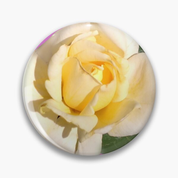Item preview, Macro White Tea Rose Photography Pink Background / Large White Rose Photography designed and sold by Victoria Rose.