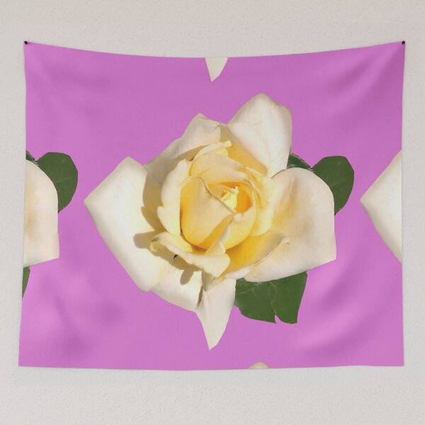 Item preview, Macro White Tea Rose Photography Pink Background / Large White Rose Photography designed and sold by Victoria Rose.