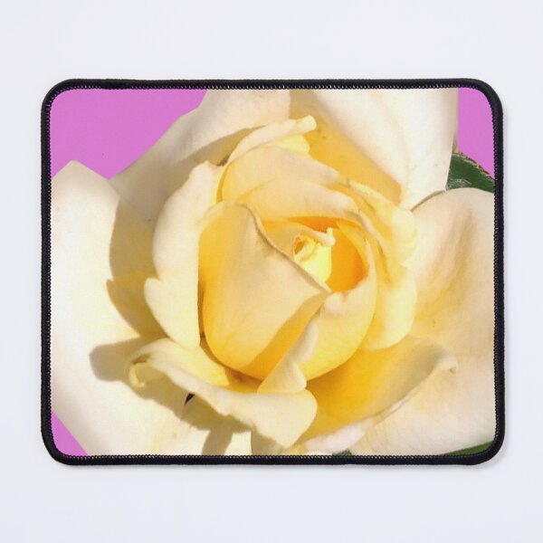 Item preview, Macro White Tea Rose Photography Pink Background / Large White Rose Photography designed and sold by Victoria Rose.
