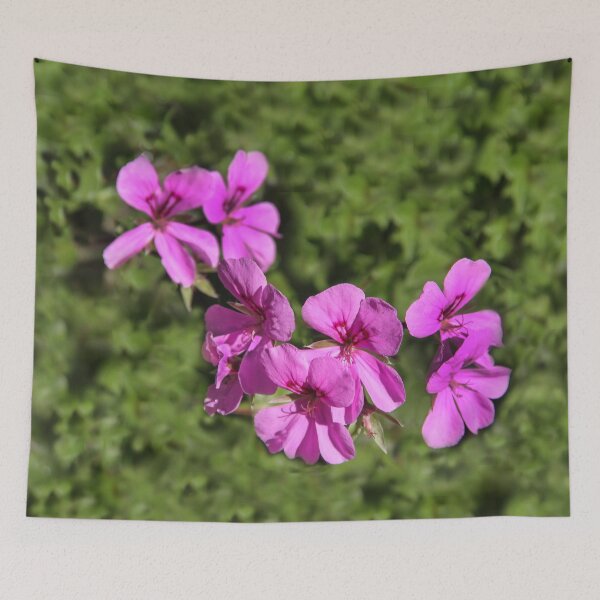 Item preview, Pretty in Purple  designed and sold by heatherfriedman.