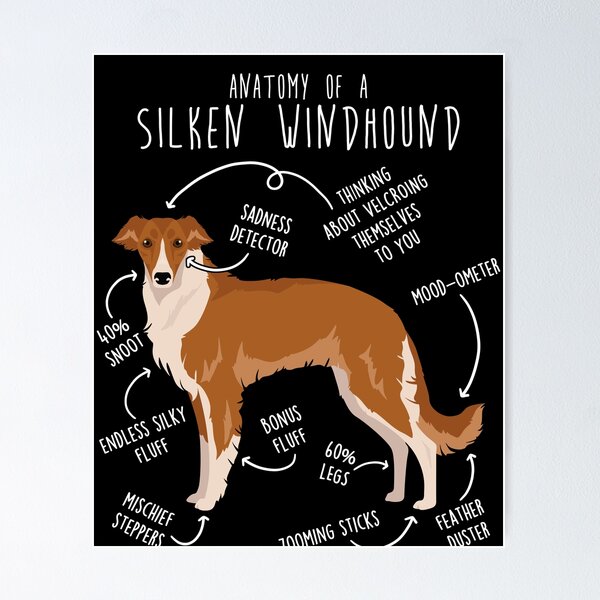 Item preview, Red Silken Windhound Anatomy designed and sold by Clara Hollins.