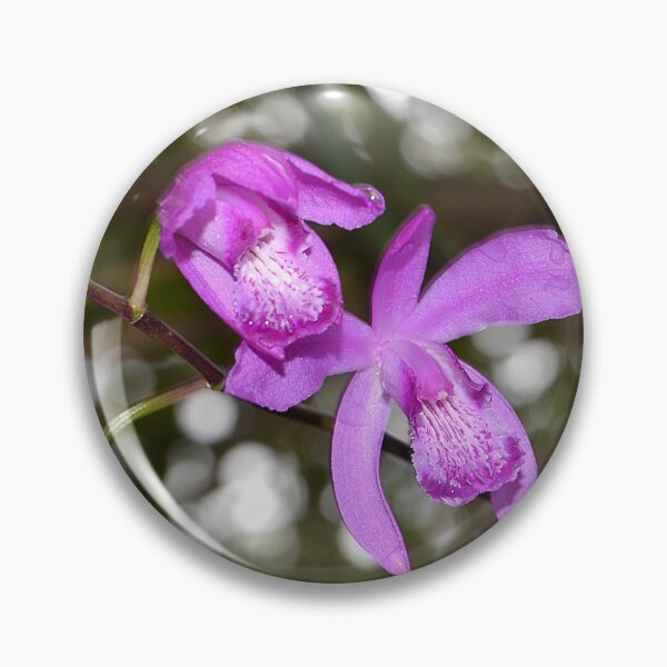 Item preview, Cooktown Orchid designed and sold by FancifulsBySue.