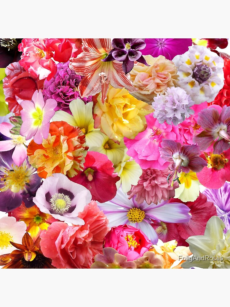 Flower Power by FollyAndRoses