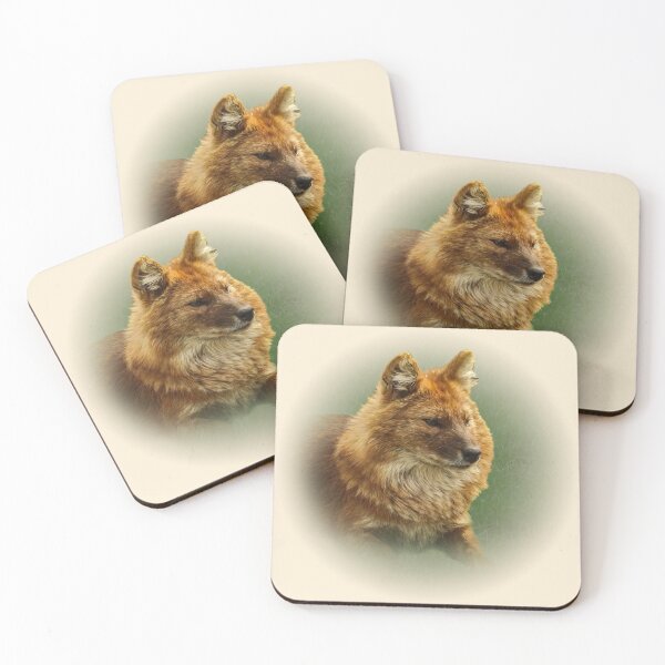 Item preview, Dhole-asian wild dog designed and sold by Guardi71.