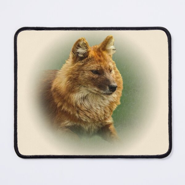 Item preview, Dhole-asian wild dog designed and sold by Guardi71.