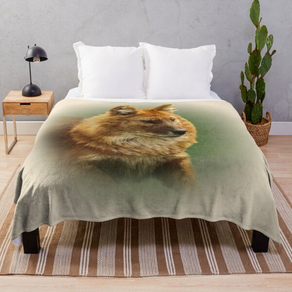 Item preview, Dhole-asian wild dog designed and sold by Guardi71.
